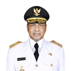 Wakil Gubernur
